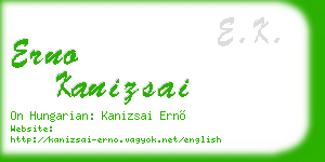 erno kanizsai business card
